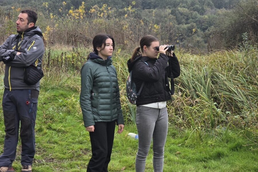 20241012_094911 20241012_094911