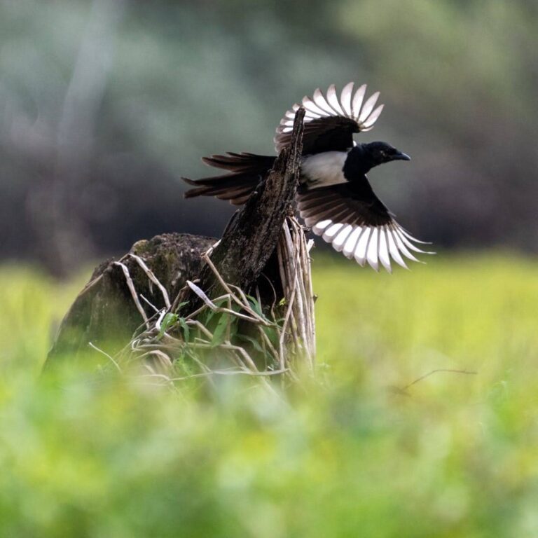 0-02-05-11c488b4209c7992d9e85fe8bdaa92514b6d491de18df45cd8f4f9e3c098e37c_b084e269dac2aba8