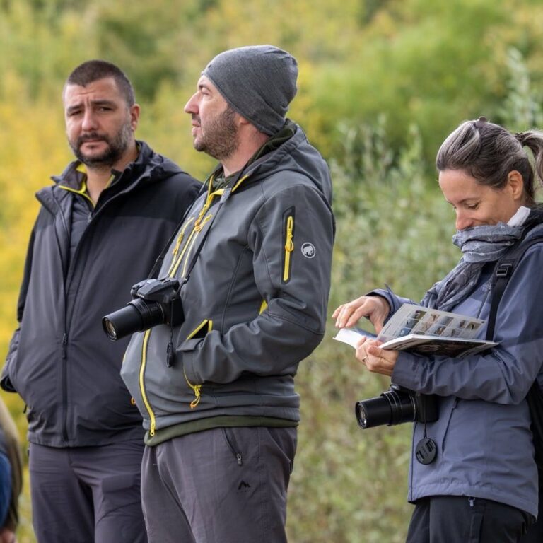 0-02-05-46495e72a598f394bab8f283144d63097627b168cb4e0d8295407f76b4ca37f7_3ea2444c352645a3