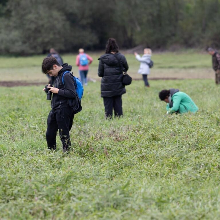 IMG-24eecc7a52b4aef5e84ad5fdfdc12a3a-V