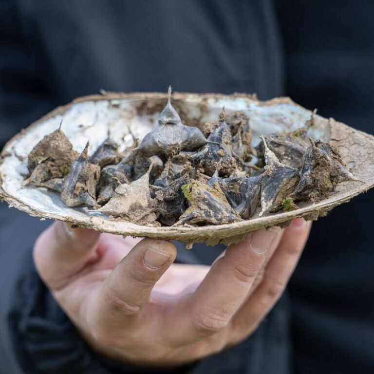 IMG-ca5179f54cfbdf8f3eb1a710168ce90d-V