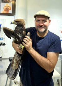 Suri orao i Vladan Dimitrijević
